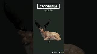 Diamond Fallow Deer  #thehuntercotw #gaming #hunting #virtualhunting