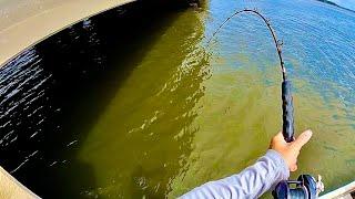 SHADY SPOT - Low Bridge For Cooler Sheepshead Fishing