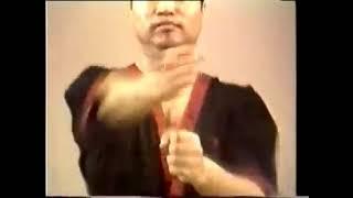 Dynamic Wing Tsun - Vídeo do Grão Mestre Leung Ting (Linhagem Wing Tsun)