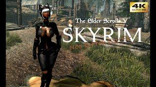 The Elder Scrolls V  Neo Kitten Outfit