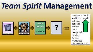 Team Spirit Management