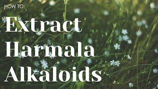 How to extract Harmala alkaloids