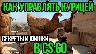 КАК УПРАВЛЯТЬ КУРИЦЕЙ В КСГО? СЕКРЕТЫ И ФИШКИ CSGO. ПОЛНЫЙ ГАЙД ПО КУРИЦАМ