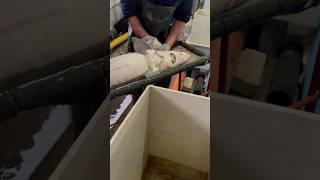 Проверяем икру у осетра #shortvideo #белугафиш #осетроваяферма