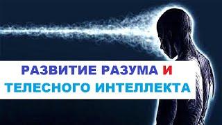 Развитие Разума И Телесного Интеллекта | Развитие Разума Человека | Примеры #4