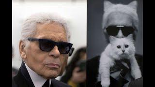 Choupette, the feline heiress of Karl Lagerfeld's fortune