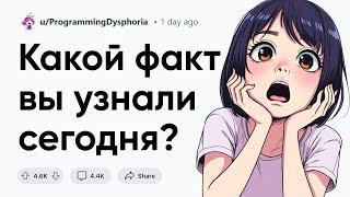 Какой ФАКТ вы узнали СЕГОДНЯ? #1