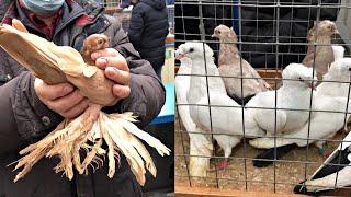 БОЛЬШАЯ ЯРМАРКА ГОЛУБЕЙг.Москва,ч.3.THE BIG FAIR OF PIGEONS IN MOSCOW