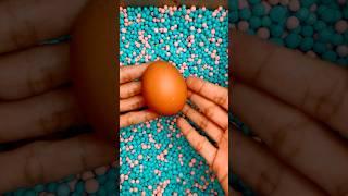 NEMU EGG #shorts -#short #shortsvideo #videoshorts