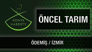 ÖNCEL TARIM - ÖDEMİŞ / İZMİR