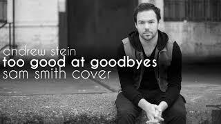 Too Good at Goodbyes ► Sam Smith cover by Andrew Stein