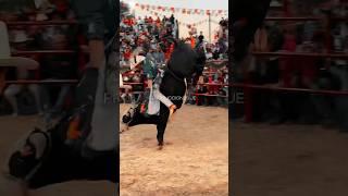 ANDALIEGO DE LA CONSTITUCION VS CAPO DEL SUR DE RANCHO ESTRELLAS DEL SUR