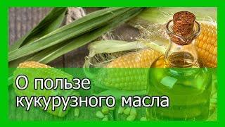 Кукурузное масло  и его полезные свойства