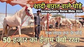 बरेली के बाजार से आये शादी बारात वाले नुकरे मारवाड़ी घोड़े घोड़ियाँ | sarangkheda horse mela 2024