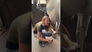 POV: the snobby equestrian gets their first horse #horse #horsey #equestrian #equestrianvibes