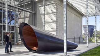 Science Today: Science Informing Art | California Academy of Sciences