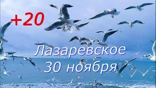 Зимуем у моря на пенсию. Ищу пару для проживания в номере по 5 тысяч в месяц. Лазаревское