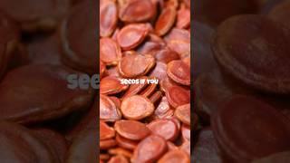Super Seeds for Your Health!