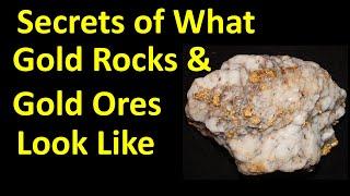 Gold Expert Reveals What raw GOLD Looks Like in Ore Rocks