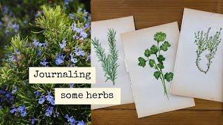 Journaling some of my favourite herbs 