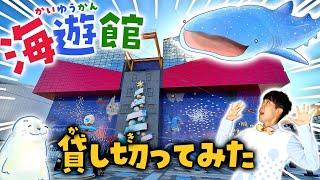 海遊館行く前に見て！水族館が100倍楽しくなるプロの解説ツアー / 大阪観光 kaiyukan aquarium osaka