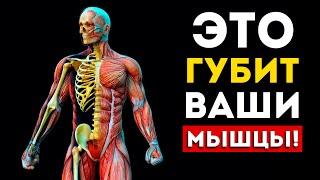 Эти 5 вещей ГУБЯТ ваши мышцы (Это нужно знать)