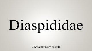 How To Say Diaspididae