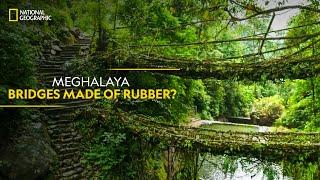 Meghalaya - Bridges Made of Rubber? | India from Above | हिन्दी | National Geographic