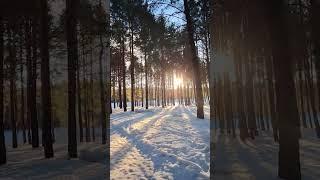#набережные #челны # зимняя красота