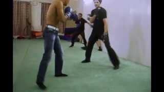 Wing Chun vs Boxing  ( without kicking )