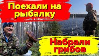 Поехали на рыбалку, набрали 10 ВЕДЕР ИЗБРАННЫХ ГРИБОВ! Не смогли все довезти, не хватило места.