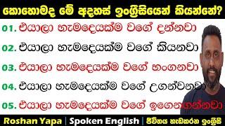 එයාලා හැමදෙයක්ම වගේ දන්නවා|කොහොමද ඉංග්‍රීසියෙන් කියන්නේ?|Spoken English in Sinhala for beginners