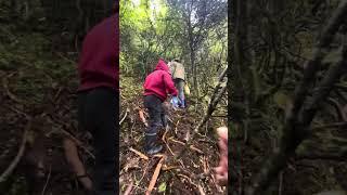 15200  Fit Upar Pahad Main very OMG Dangerous akri Katne / Arunachal ll Madhuri Lake  Tawang