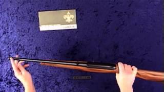 Bullet Point Profiles: Ruger 10/22 Boy Scouts of America Talo Edition Rifle