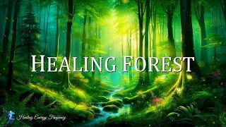 Healing Forest Ambience | 741Hz +  432Hz + 417Hz | Emotional Detox, Deep Healing & Transformation