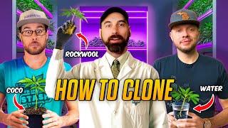 How to Clone Cannabis in Different Mediums | From The Stash: Highly Educational Ep. 5