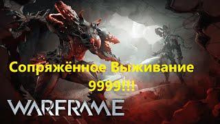 Warframe Сопряжённое Выживание топ в ру-сегменте 