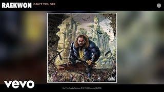 Raekwon - Can't You See (Audio)