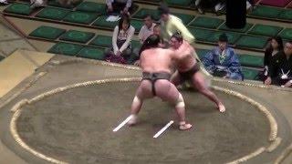 大相撲.2016.5.11.Sumo Natsu Basho/day 4/飛翔富士(hishofuji)-碧天(aozora)