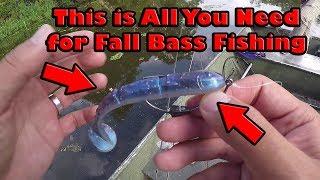 Only lure you will need for Fall Bass Fishing! Soft Paddle Tail Swimbaits