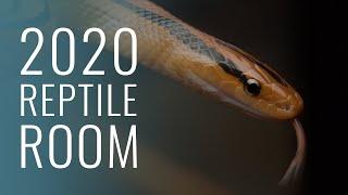 2020 Reptile Room Tour (Radiant Reptilia)