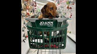 Pet Friendly Shopping- JoAnn Fabrics