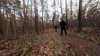 Flying through an autumn forest on a fpv drone