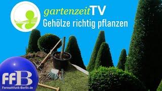 Gartenzeit TV: "Gehölze richtig pflanzen"