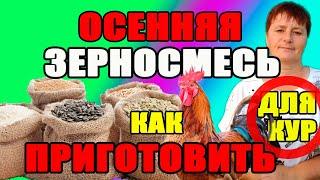 Осенний состав зерносмеси для кур несушек. Как приготовить зерносмесь.