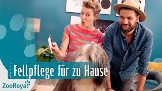 Fellpflege - Deinen Hund richtig bürsten mit Franziska Knabenreich | Rund um den Hund | ZooRoyal