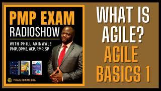 The ULTIMATE AGILE Mindset Breakdown PMP Exam Prep