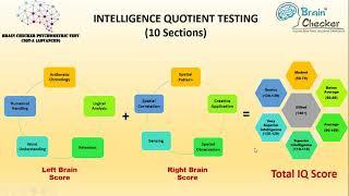 Brain Checker Psychometric Test