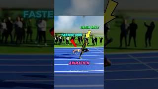 Usain Bolt vs Fastest Dog ‍️ Who wins?