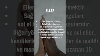 Rüyada El görmek.                                                       #islam #rüya #rüyatabirleri